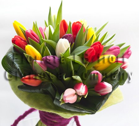 Bouquet di soli tulipani